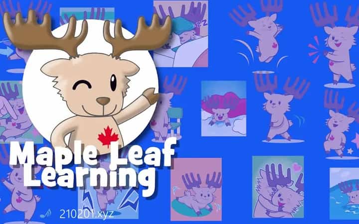 Maple Leaf Learning动画介绍图