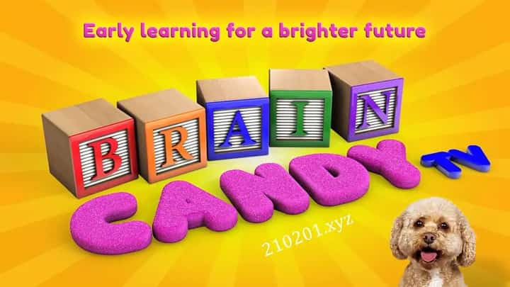 Brain Candy TV动画介绍图