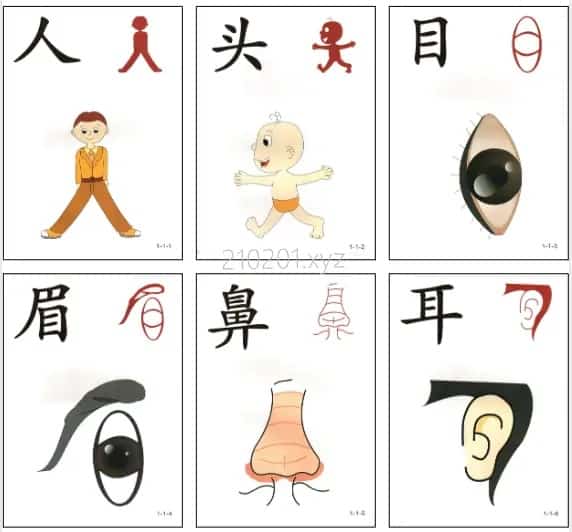 直映认字动画介绍图