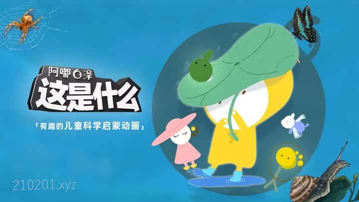 这是什么动画介绍图