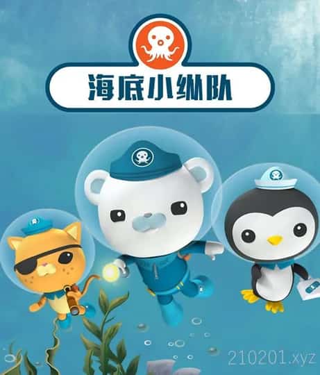 海底小纵队动画介绍图
